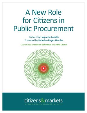 a new role for citizens in public procurement